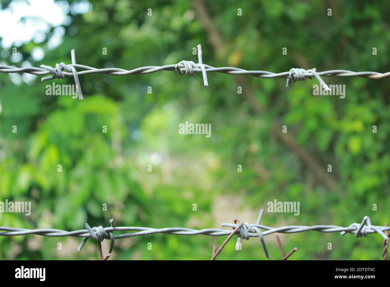 Closeup Of Barbed Wires Stock Photo Alamy