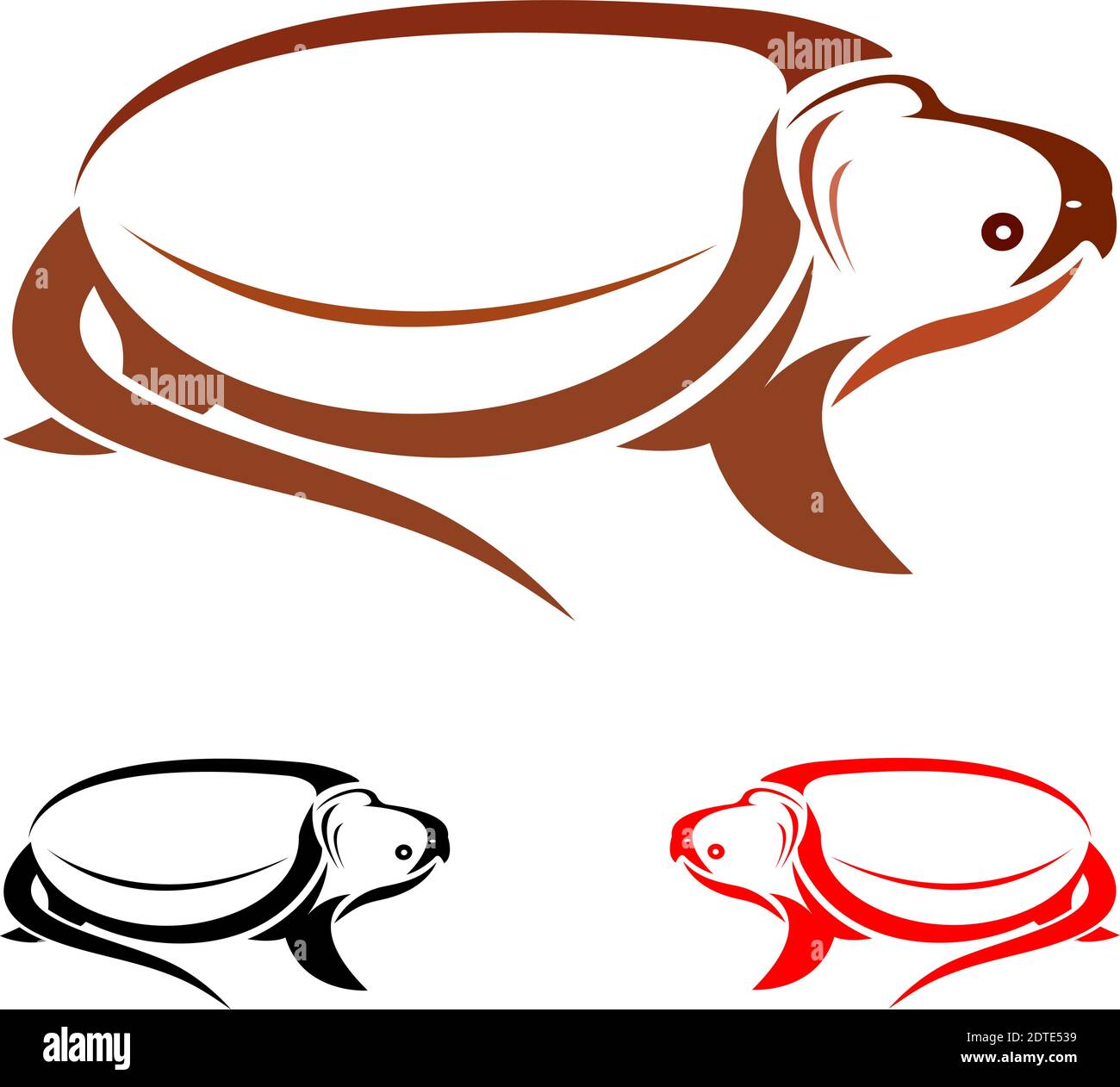 Vector image of an turtle on white background Stock Vector