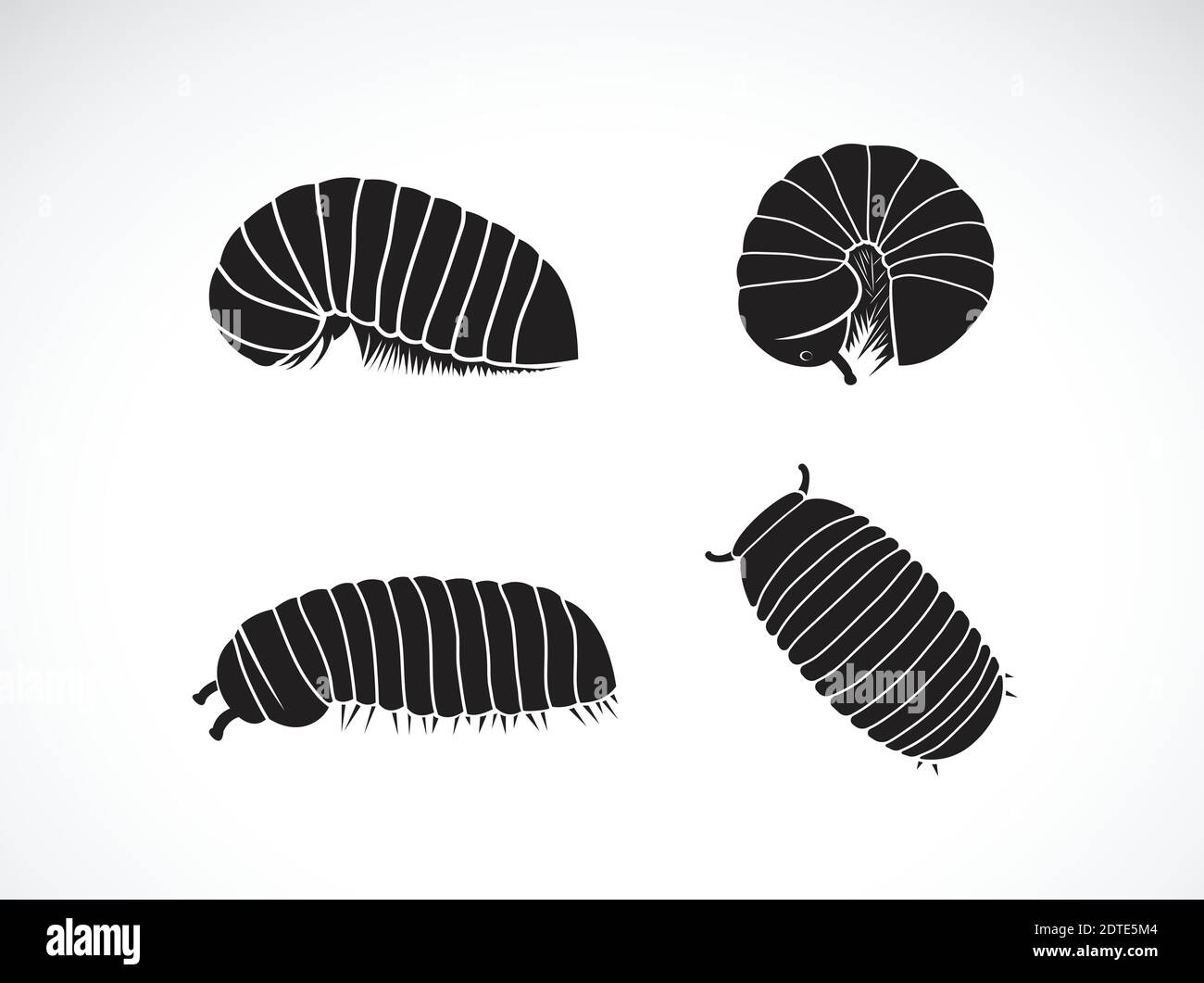 Vector of group of pill millipede worm(Oniscomorpha) isolated on a white background. Worm icon or logo., Glomerida. Insect. Animal. Stock Vector