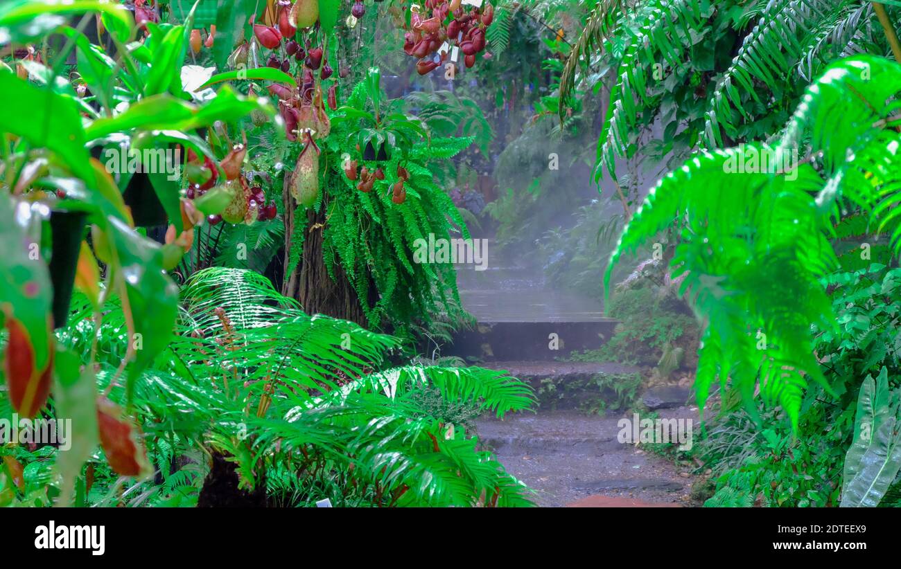 Plants Growing In Garden Stock Photo Alamy