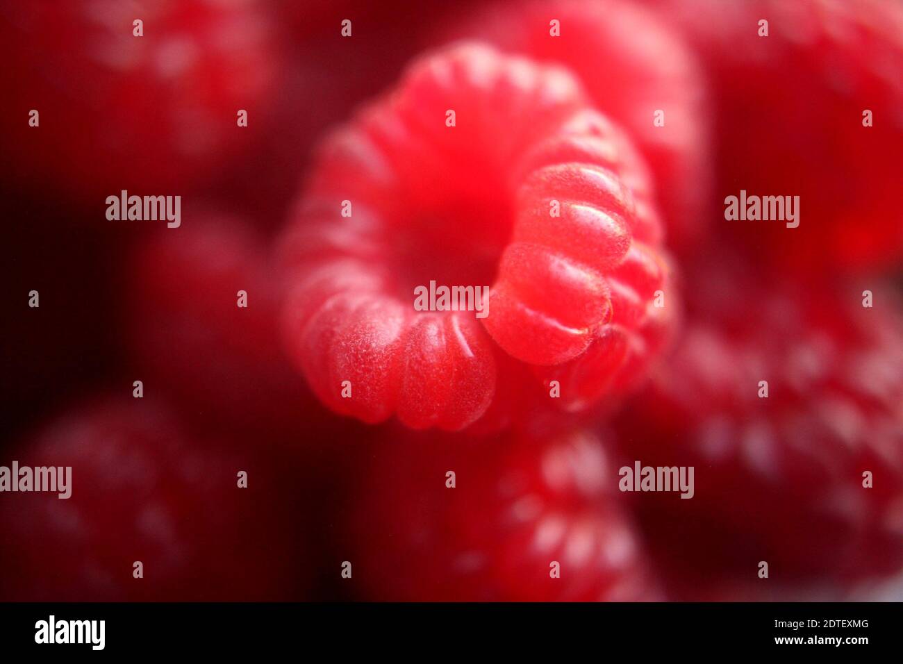 Berry head cannon hires stock photography and images Alamy