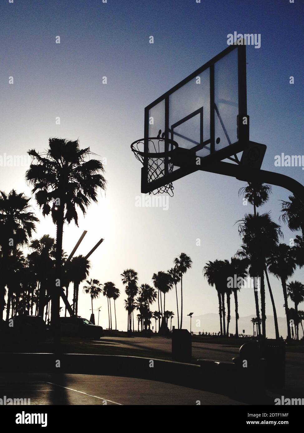 Basketball hoop and palm tree hires stock photography and images Alamy