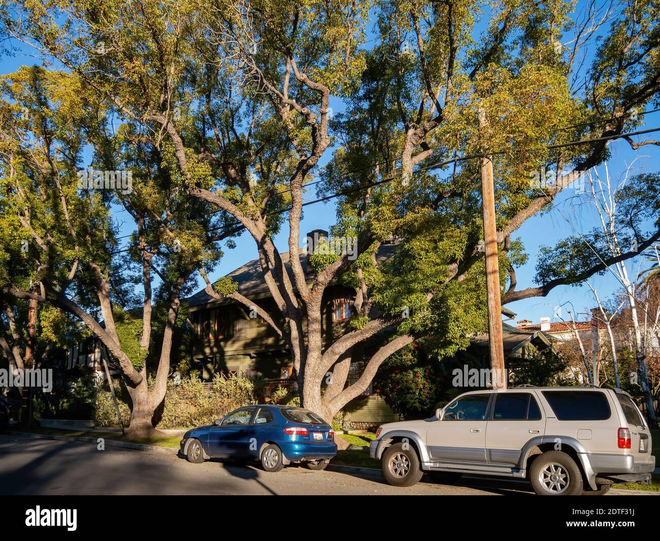 Los Angeles, JAN 18, 2013 - Afternoon view of some beautiful home Stock Photo