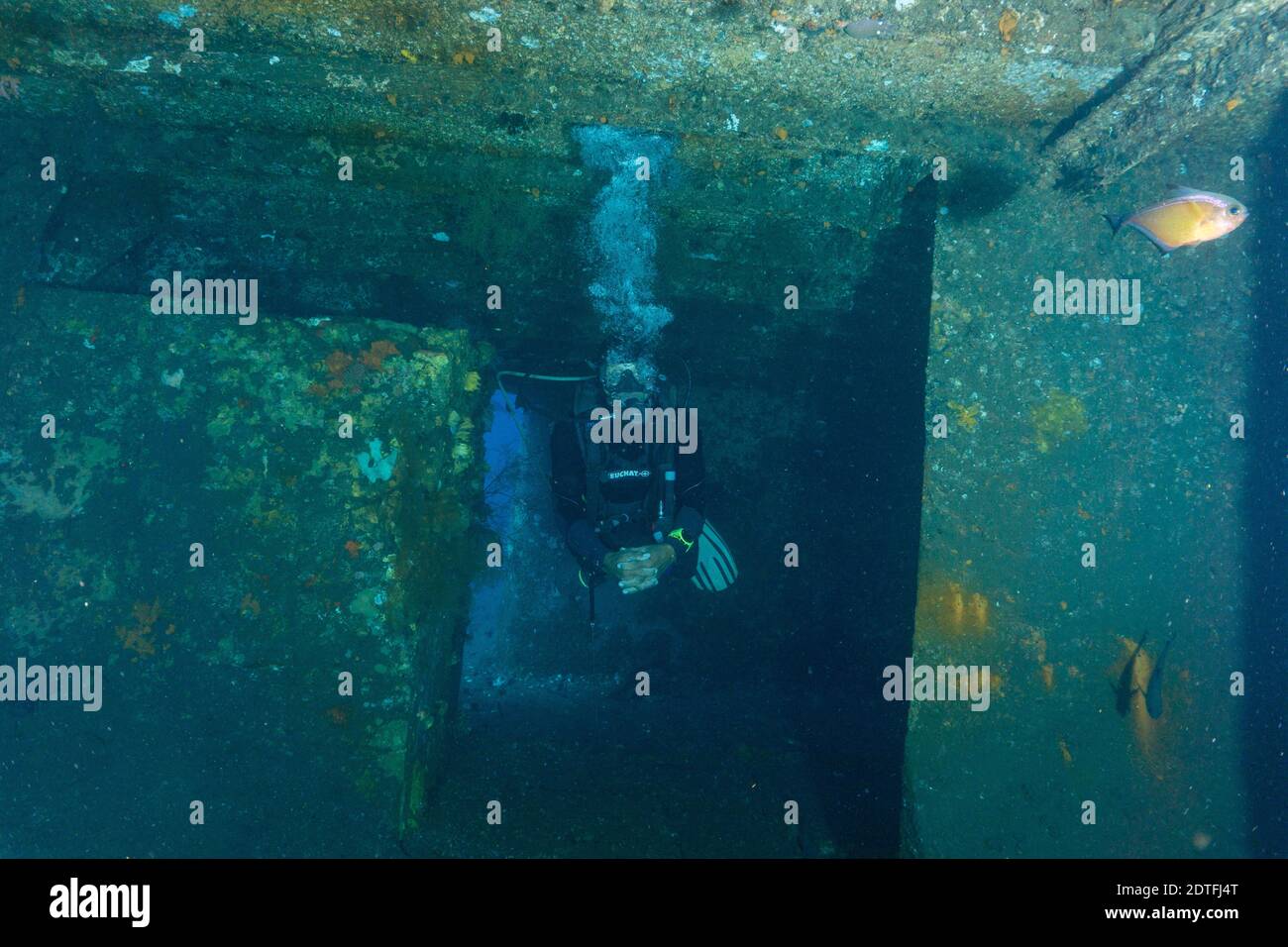 A Scuba Diver exploring the inside chambers of a Shipwreck in Bali (Kubu Wreck off Amed, Bali) Stock Photo