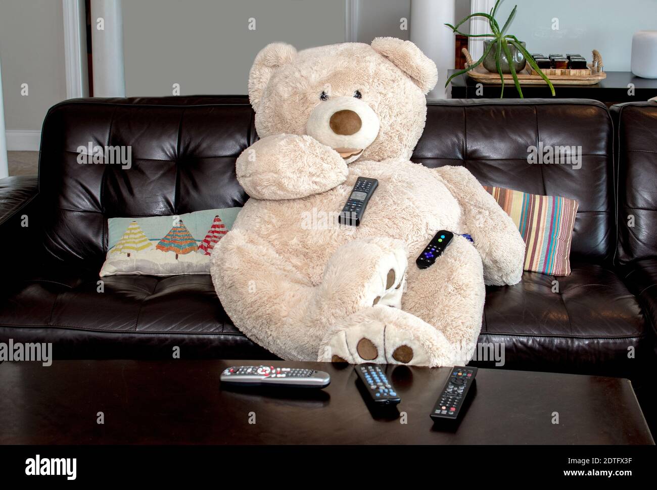 big teddy bear sofa