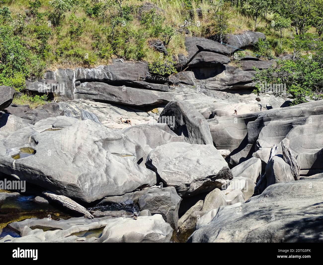 Trees Growing On Rock Stock Photo Alamy