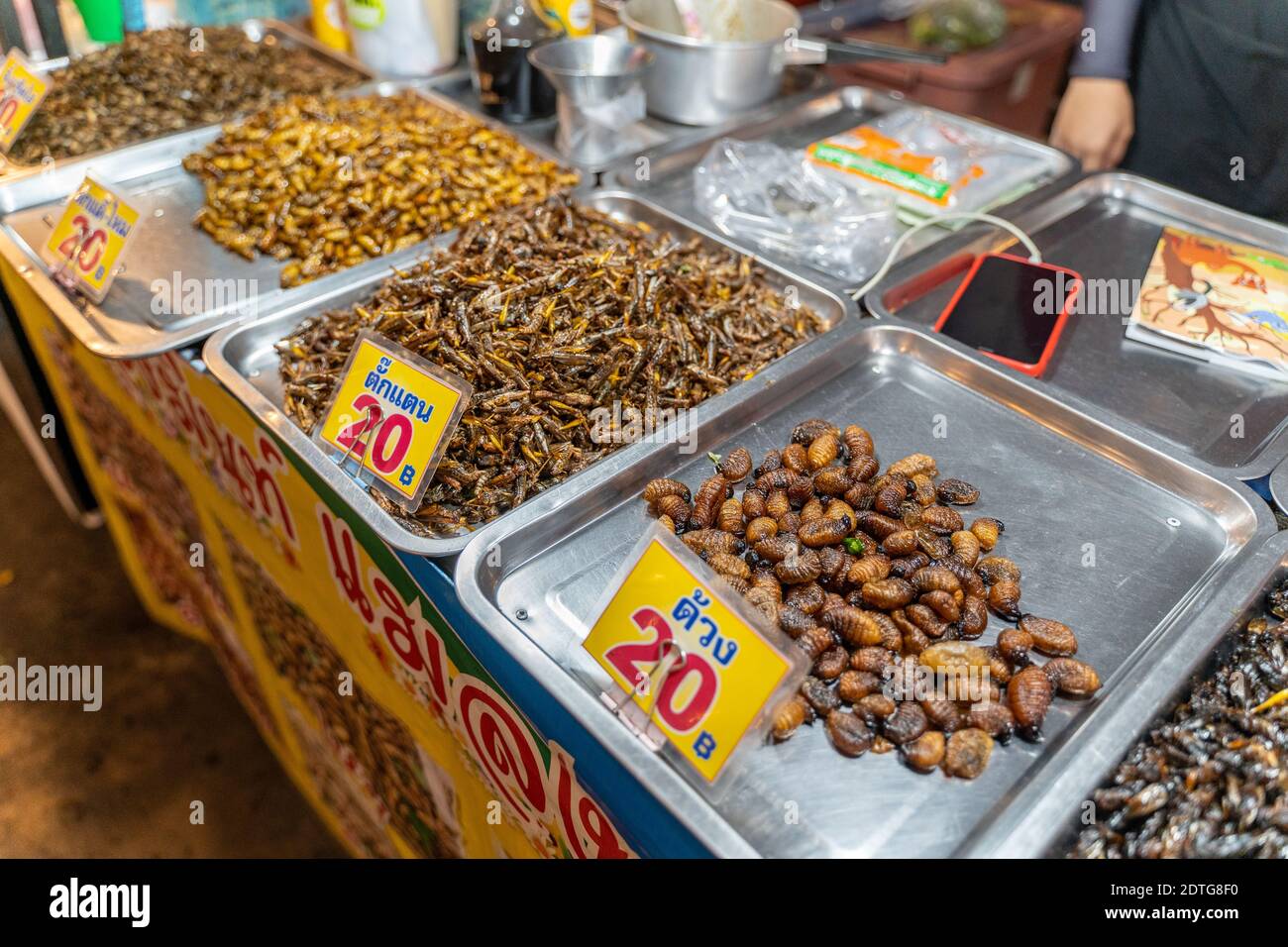 Phuket, Thailand - 17 December 2020 - Fried edible insects for sale at ...