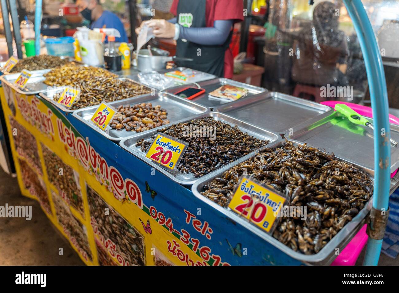Phuket, Thailand - 17 December 2020 - Fried edible insects for sale at ...