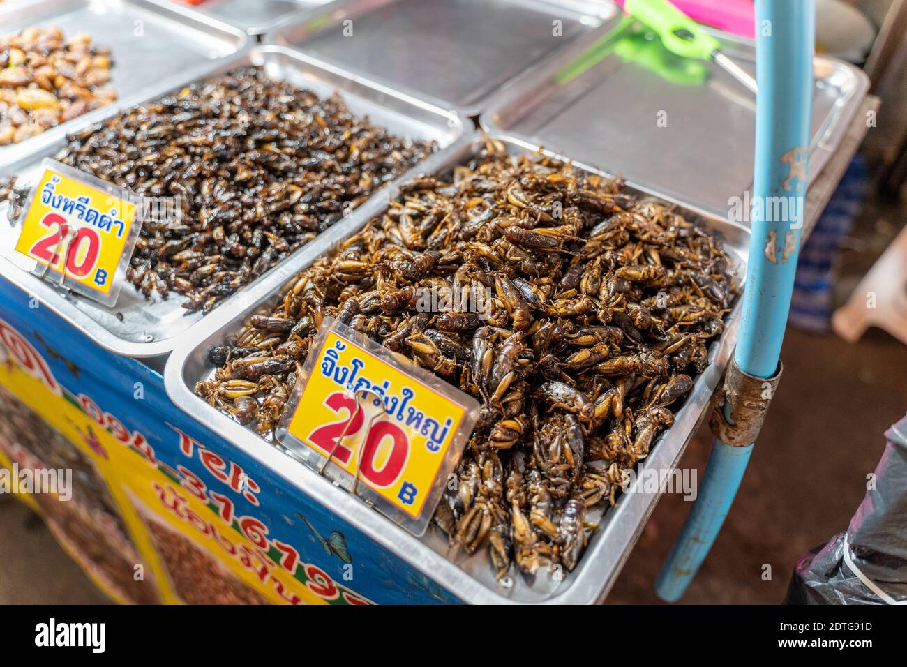 Phuket, Thailand - 17 December 2020 - Fried edible insects for sale at ...