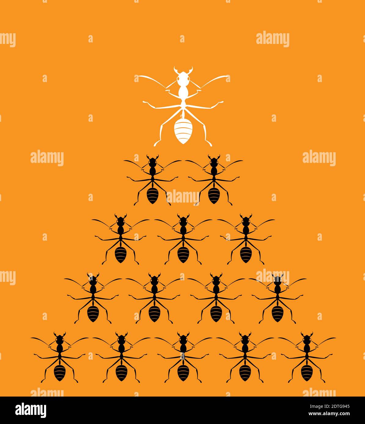 Vector image of an ants on orange background. Leadership concept Stock Vector