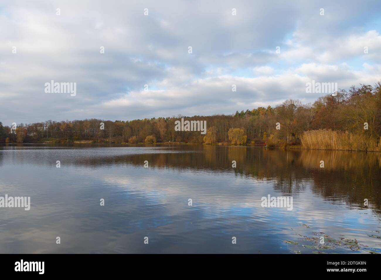 Panorama with reflections in the water at the Grube Fernie in Grossen-Linden close to Giessen, Germany Stock Photo
