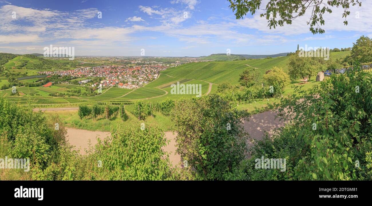 Aussicht Auf Weinstadt Und Beutelsbach Im Remstal Vom Remstalkino, Aussichtsplattform Stock Photo