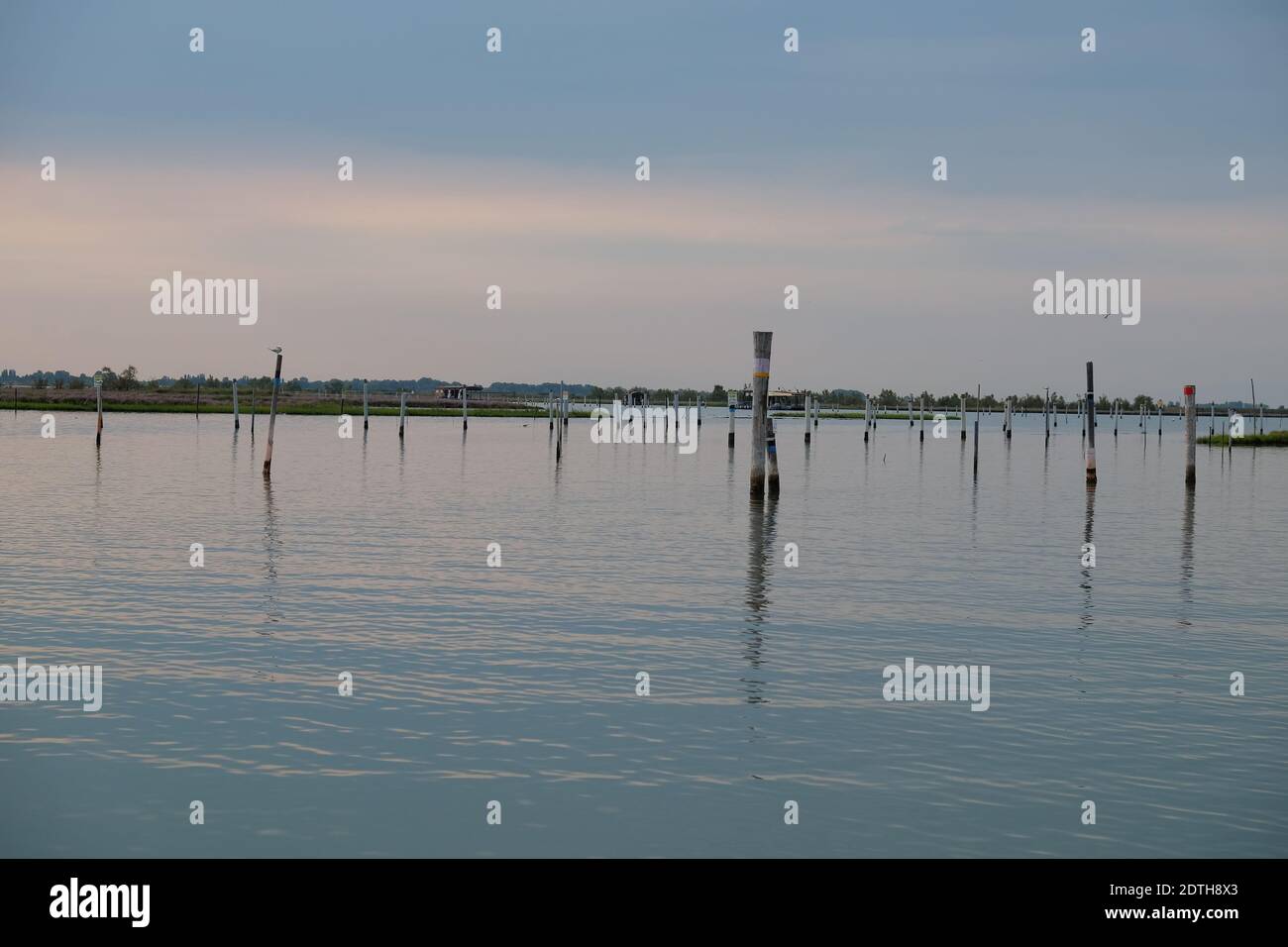 Wooden Posts In Lake Against Sky Stock Photo