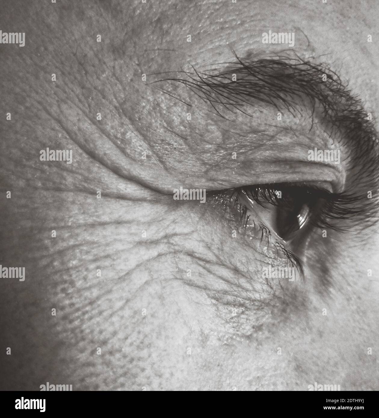 Human eye close up black and white hi-res stock photography and images ...