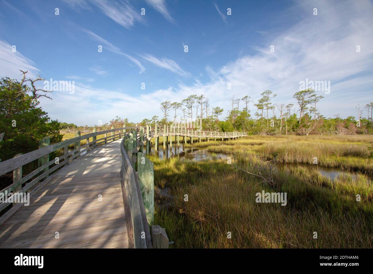 North carolina coastal marsh and nature boardwalk hires stock