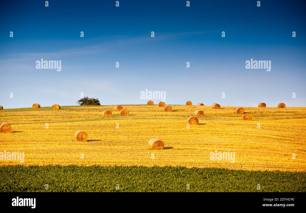 Beautiful landscape with straw bales Stock Photo - Alamy