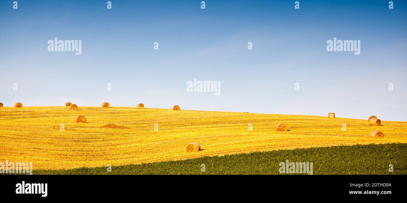 Beautiful landscape with straw bales Stock Photo - Alamy