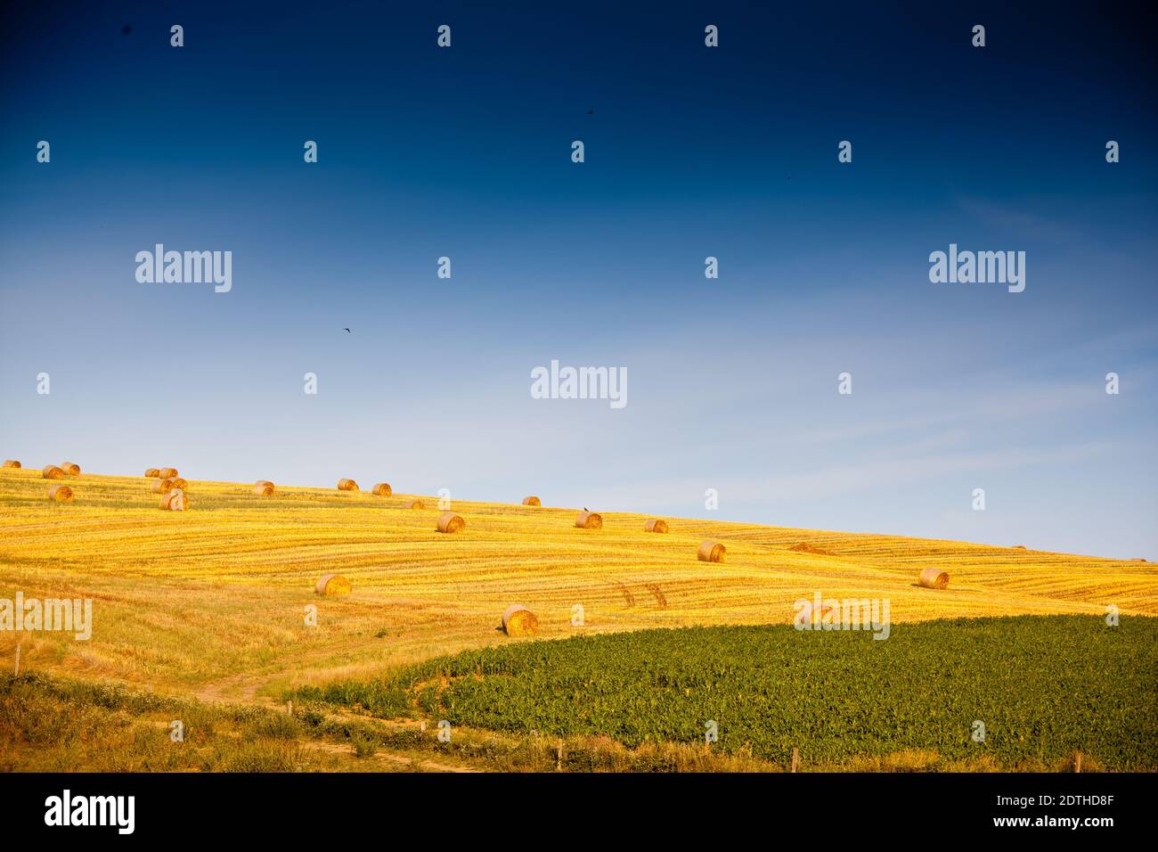 Beautiful landscape with straw bales Stock Photo - Alamy