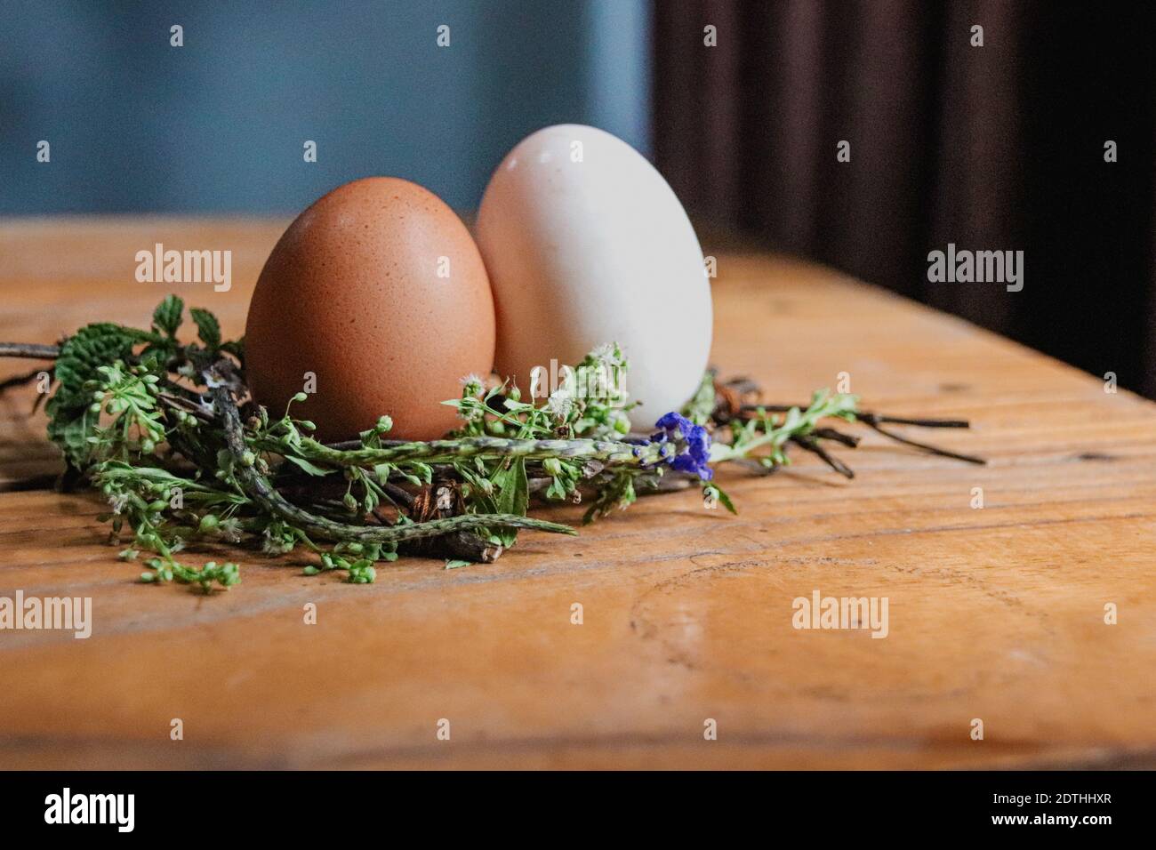 Brown and white egg on a nest of flowers as decoration for the coming Spring and Easter Stock Photo