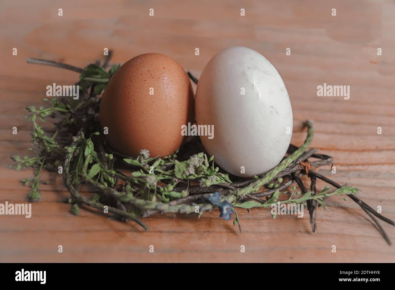 Brown and white egg on a nest of flowers as decoration for the coming Spring and Easter Stock Photo