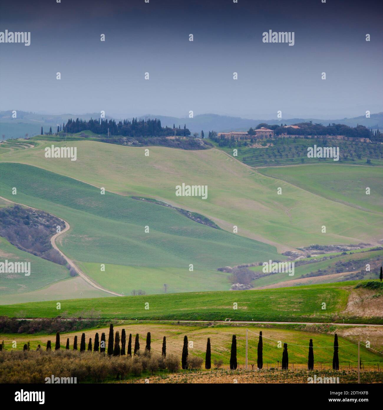 Typical Tuscan landscape in Italy Stock Photo - Alamy