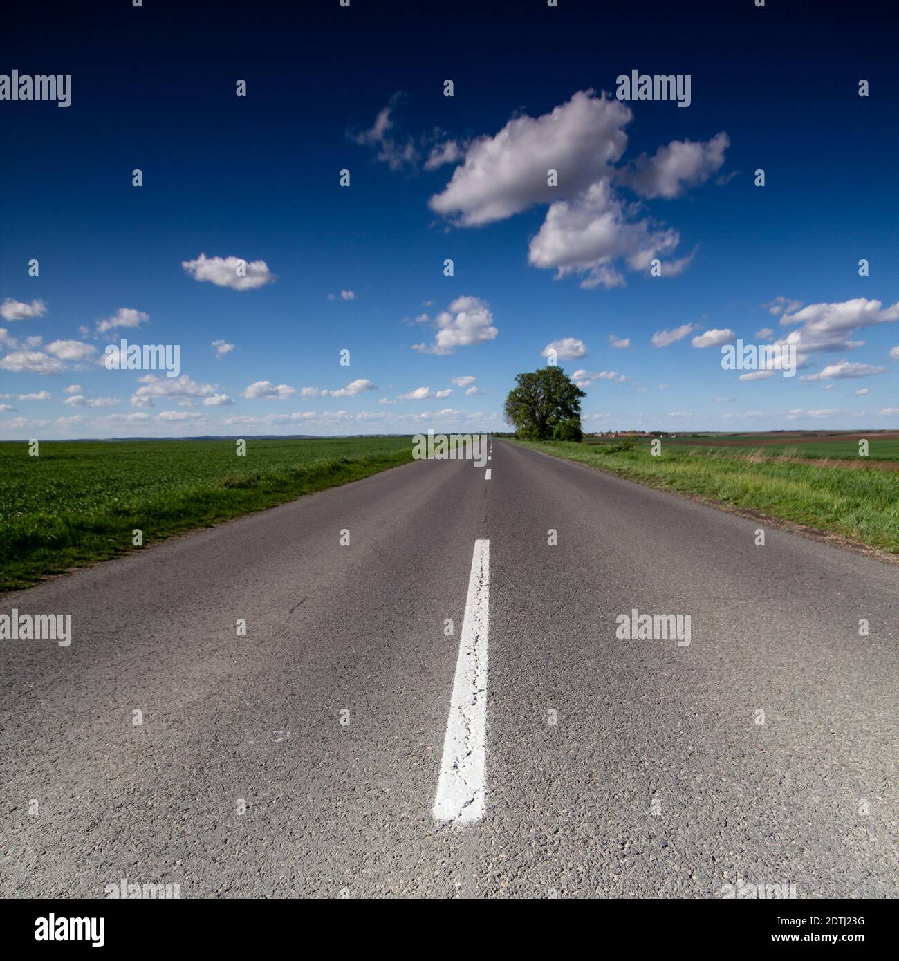 asphalt road through the green field Stock Photo - Alamy