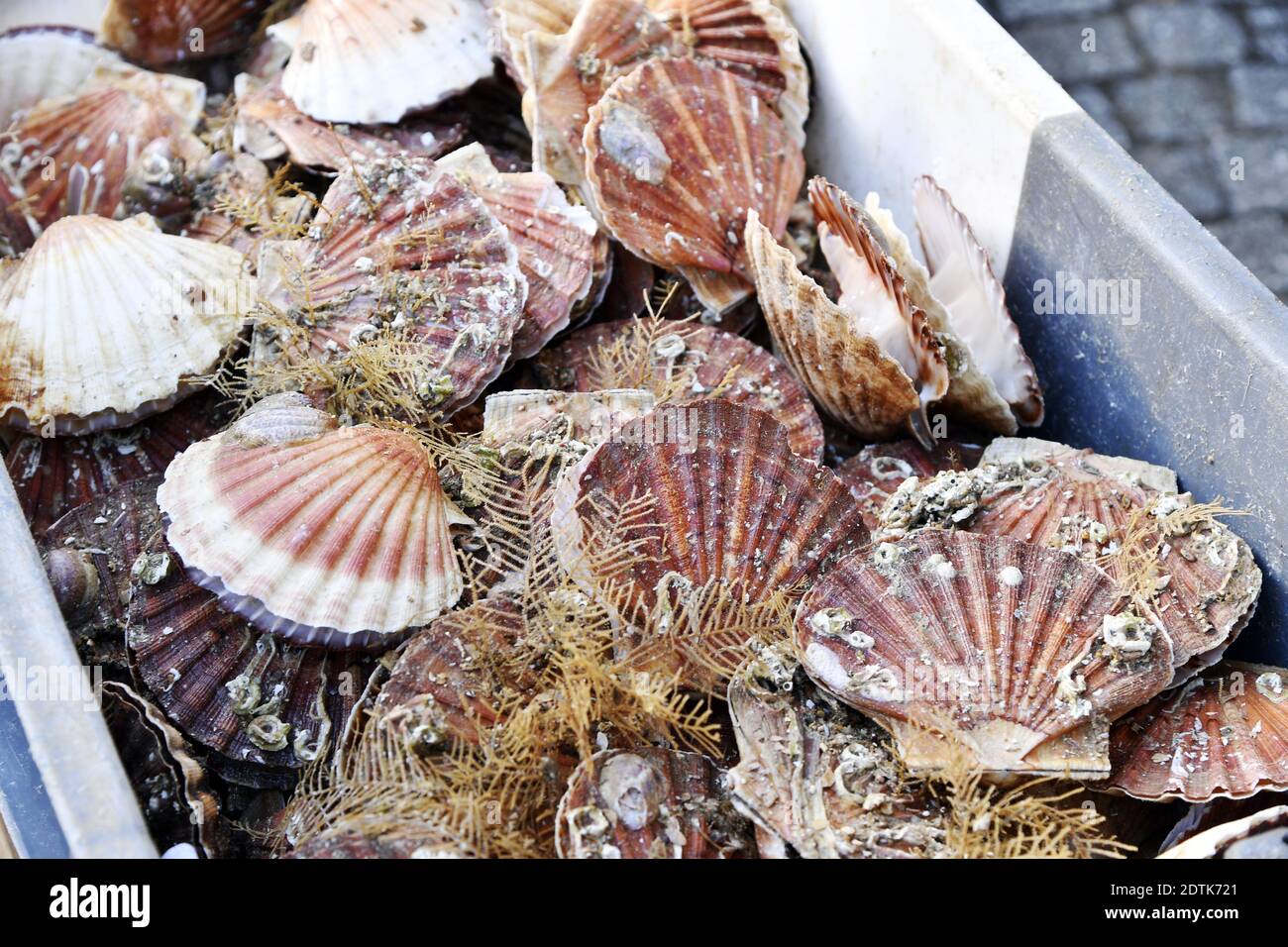 Food market in Honfleur Calvados France Stock Photo Alamy
