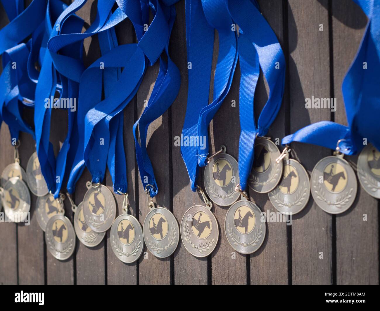 Table with horse dressage medals with a blue ribbon. Stock Photo