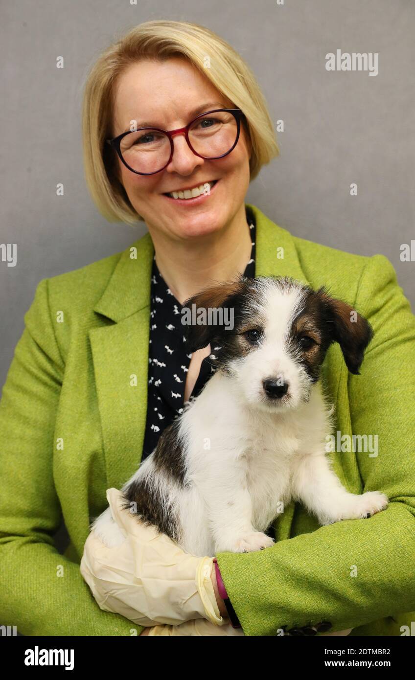 How Much Does A Dog Cost From Dogs Trust