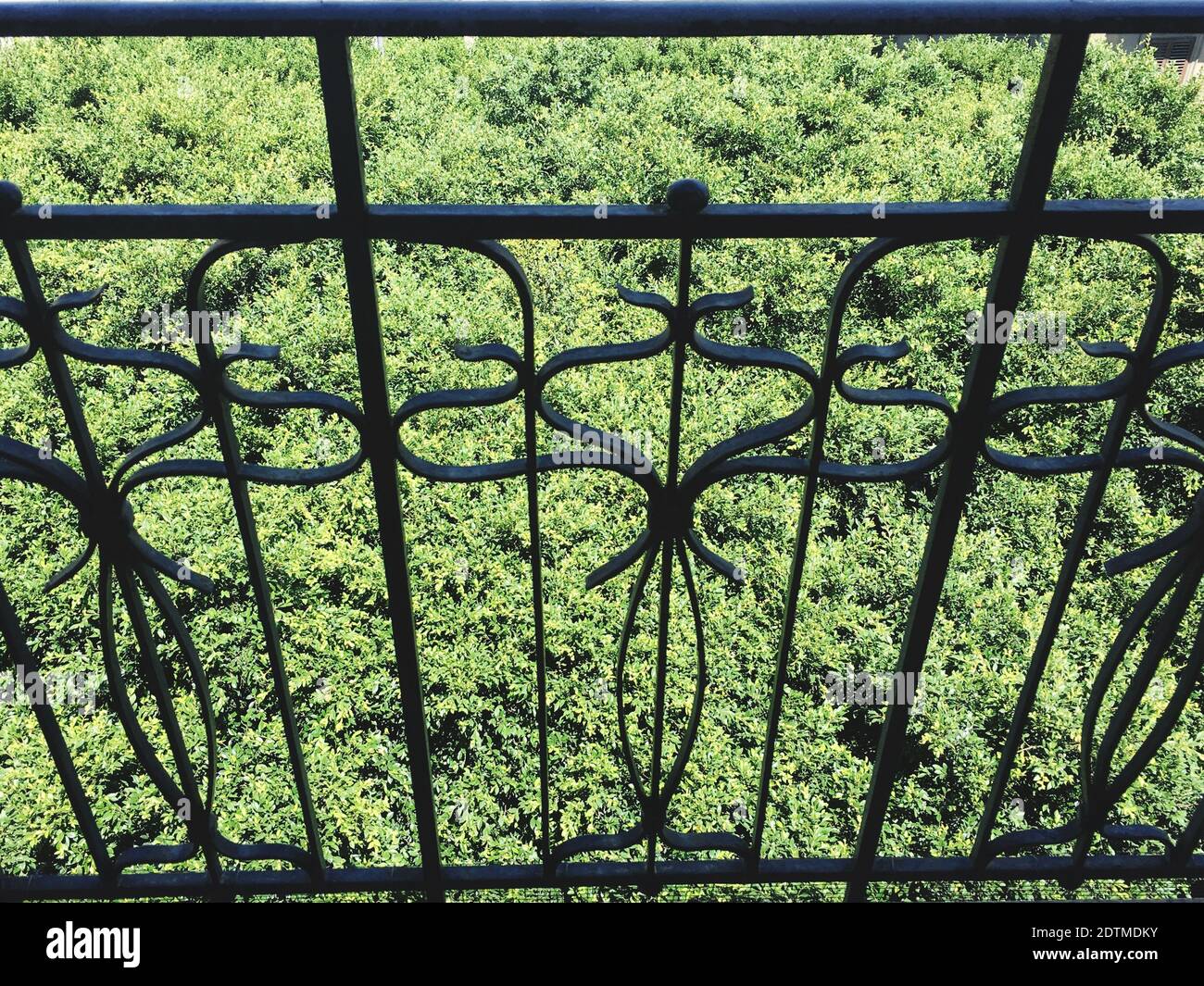 Tree Grating High Resolution Stock Photography and Images Alamy