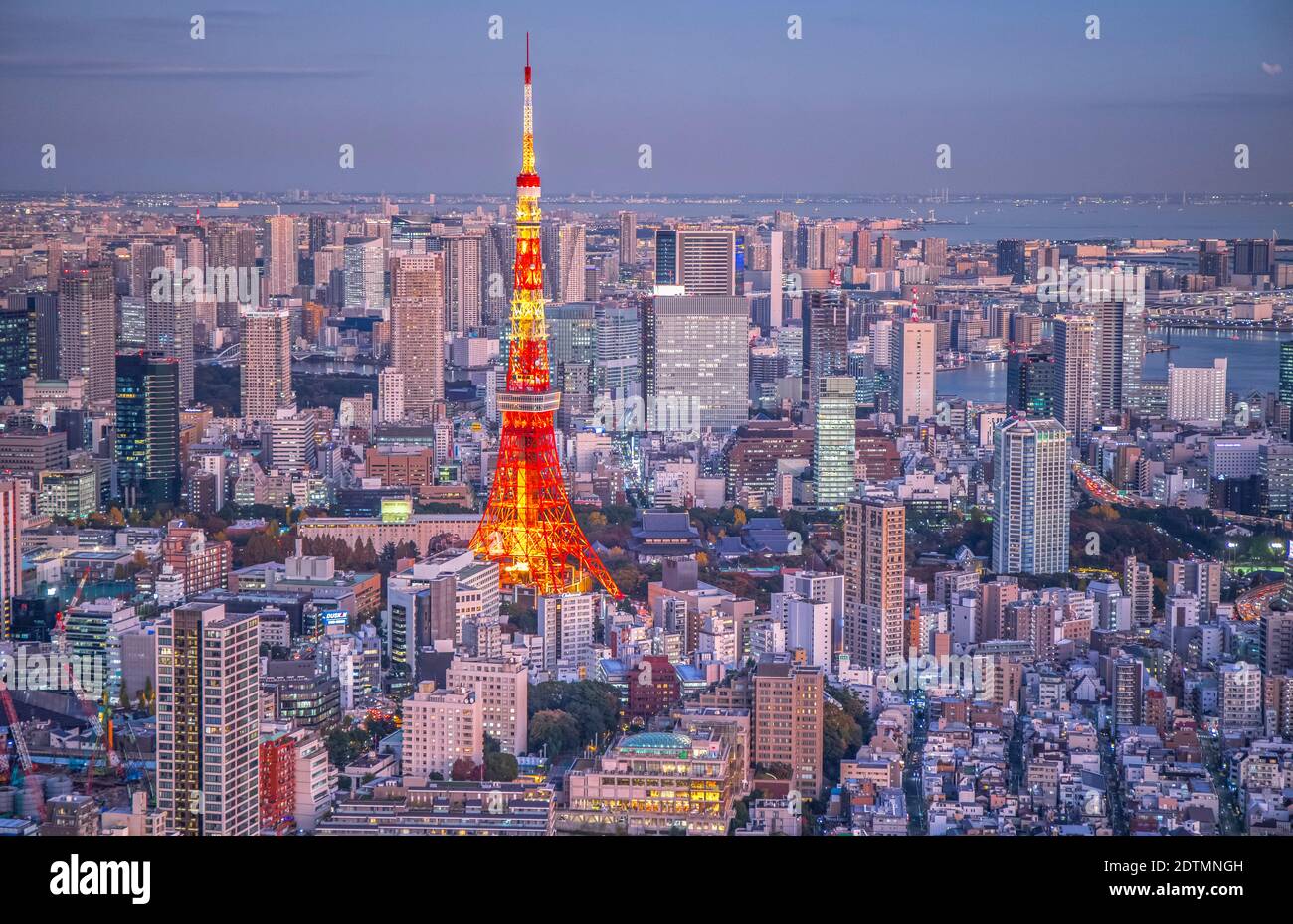 Japan, Tokyo City, Minato Ku skyline, Tokyo Tower Stock Photo
