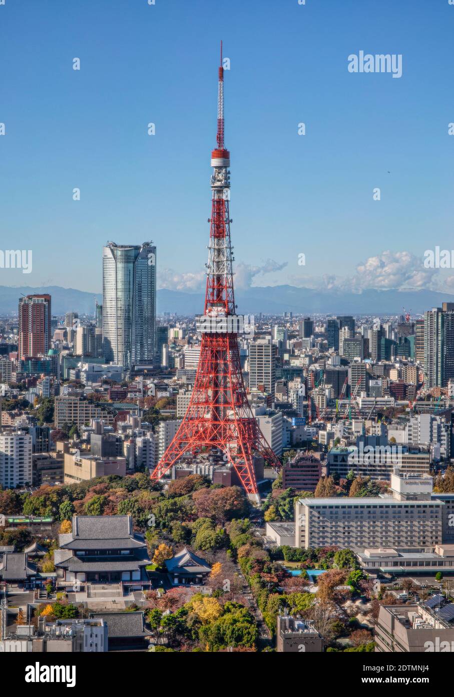 Japan, Tokyo City, Minato Ku skyline, Tokyo Tower Stock Photo