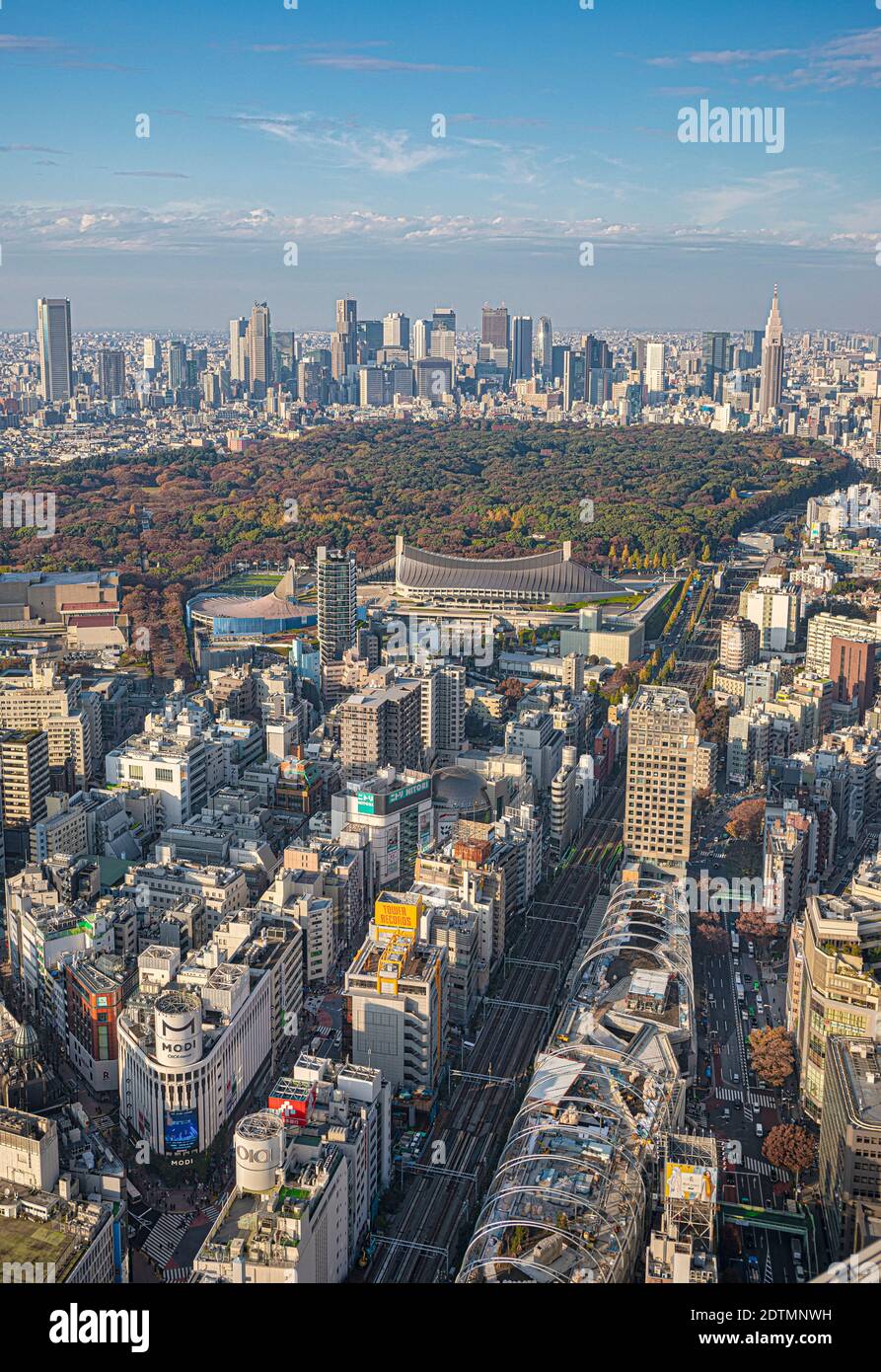 Japan, Tokyo City, Meiji Park and Shinkuku Skyline Stock Photo