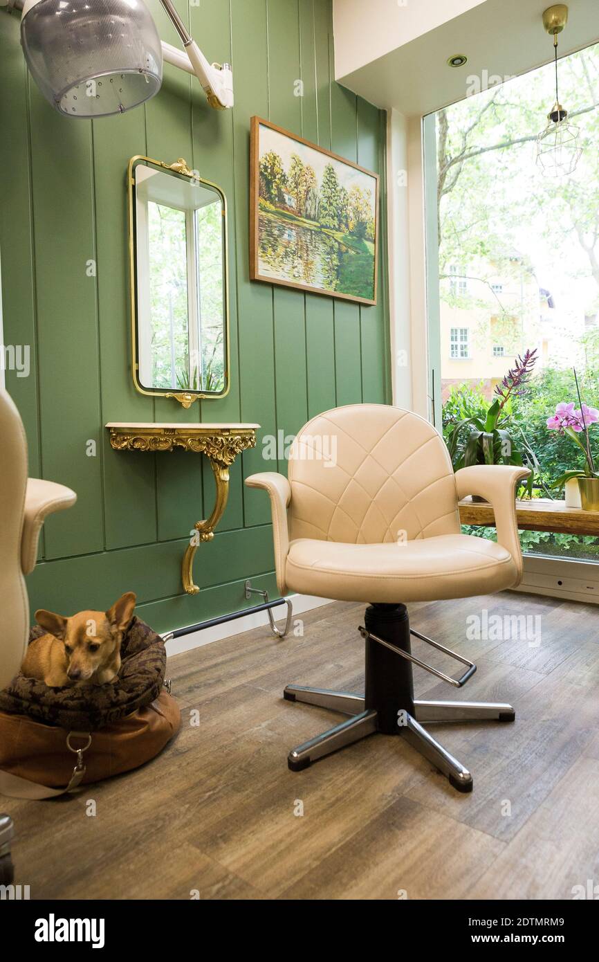 Hair dresser chair hi-res stock photography and images - Alamy