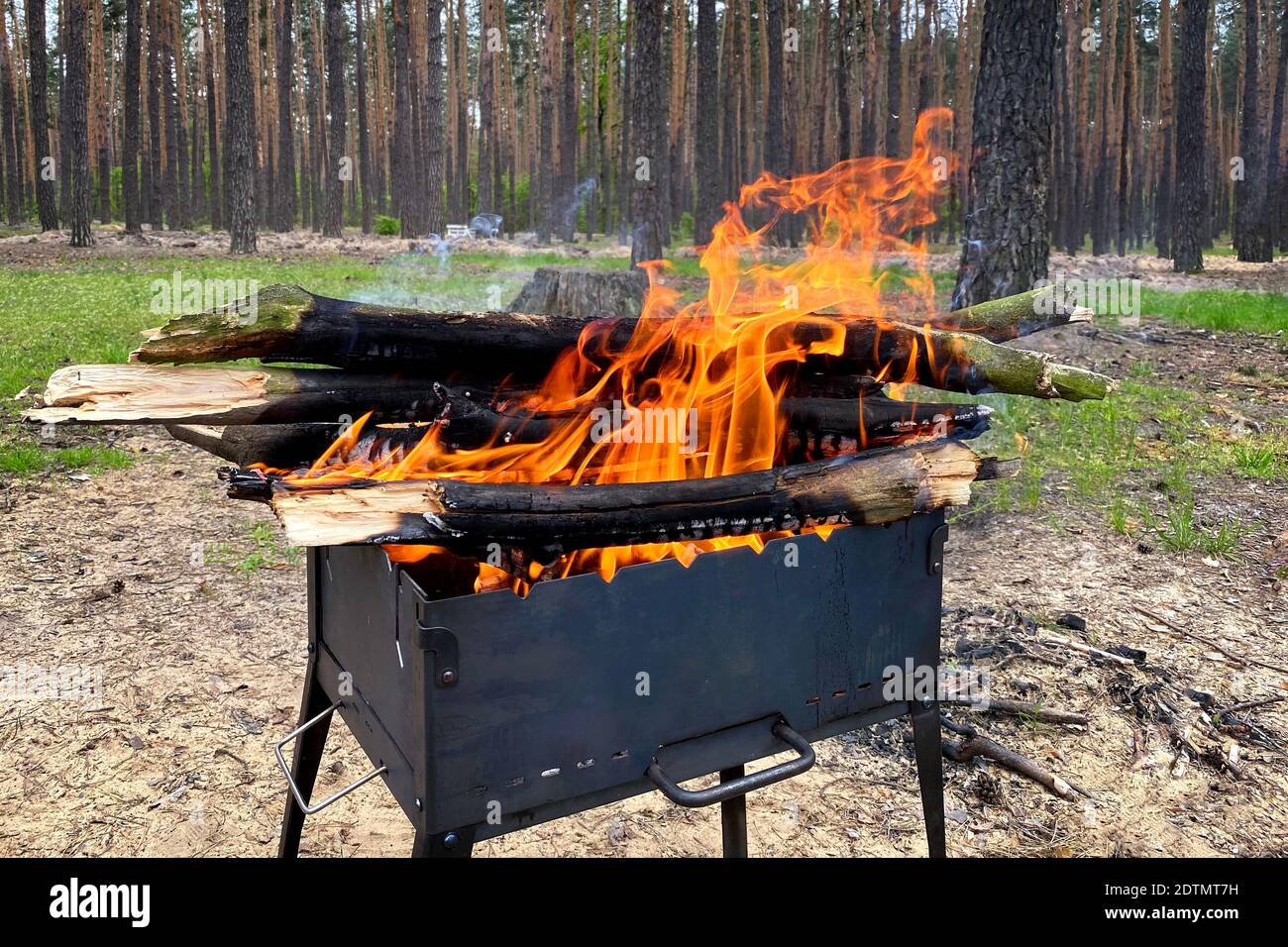 Flame from burning logs in fireplace. Wood fire prepared for grill on nature. BBQ with burning firewood. Picnic Stock Photo Alamy