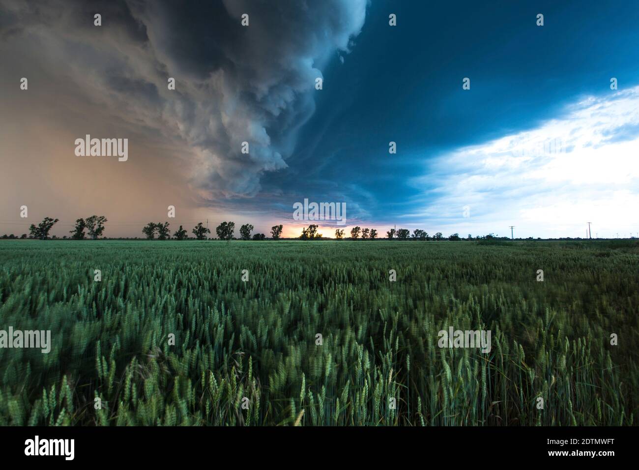 Thunderstorm over a field Stock Photo