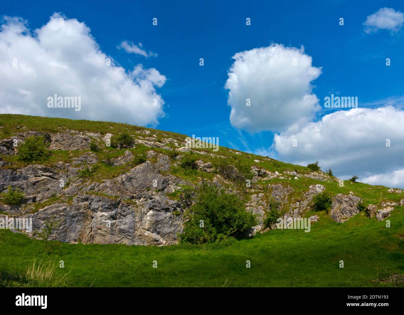 Trees on hillside in early summer near Brassington in the Derbyshire