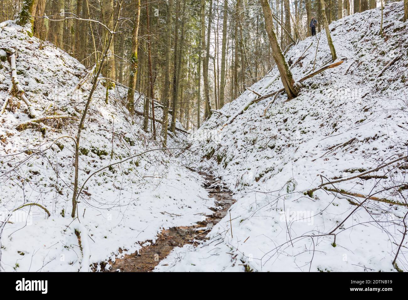 City Sigulda Latvia Small River With Sand Rock And Snow In Winter Travel Photo 29 02 Stock Photo Alamy City Sigulda Latvia Small River With Sand Rock And Snow In Winter Travel Photo 29 02 Stock Photo Alamy