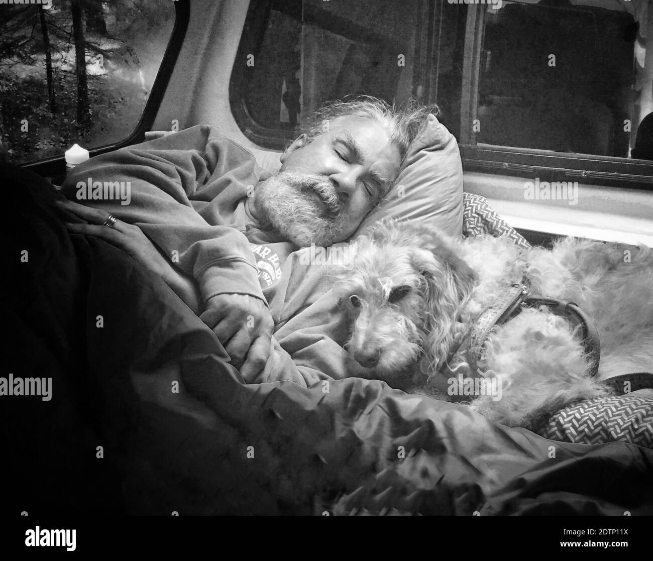 dog-man-sleeping-bed-home-bed-black-and-white-stock-photos-images-alamy