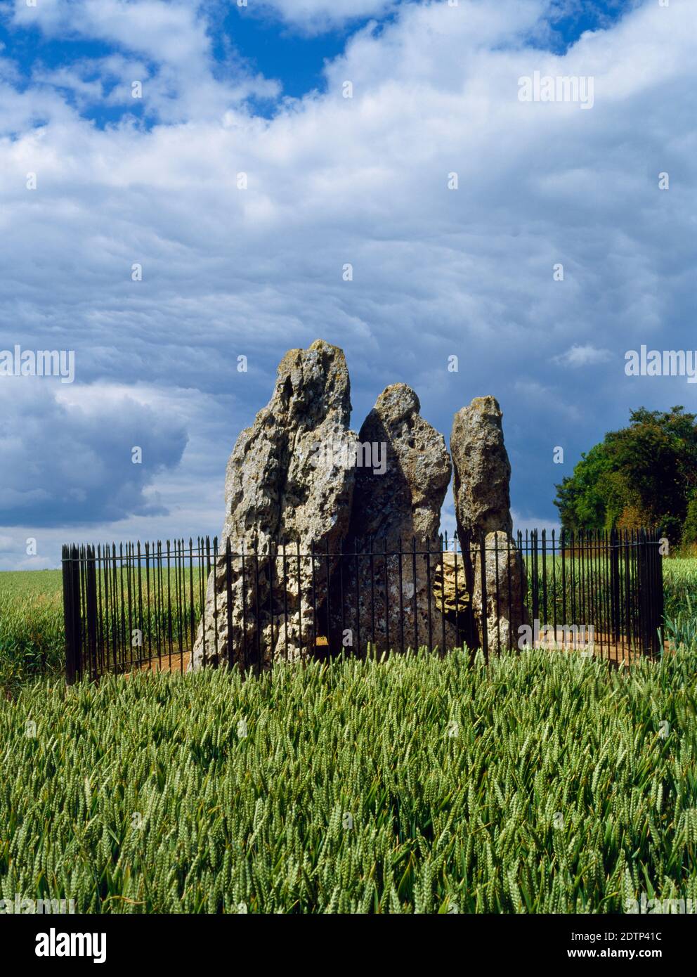 View NW of the Whispering Knights portal dolmen, Oxfordshire, UK: the limestone slabs are the remains of a Neolithic burial chamber minus the capstone Stock Photo