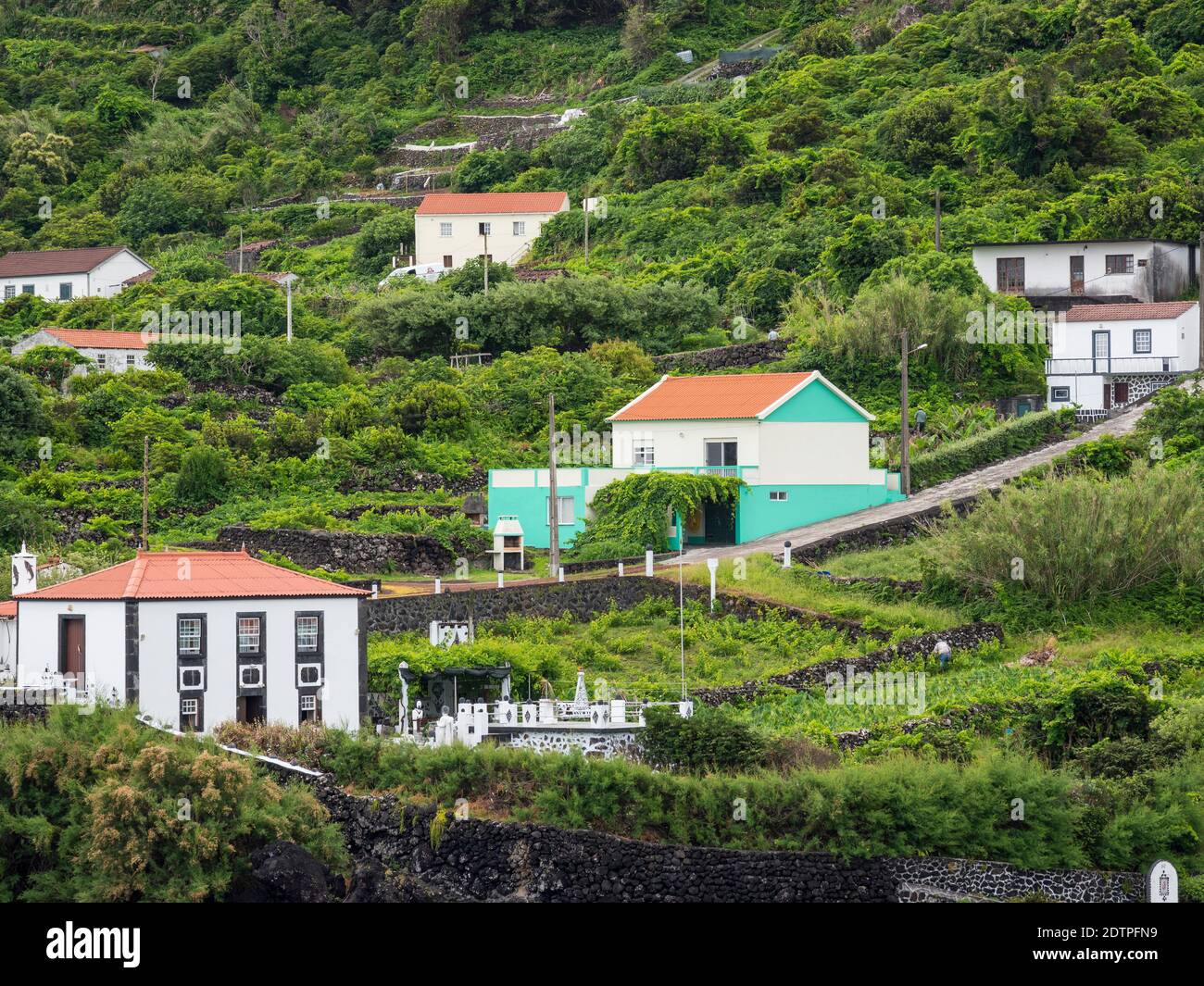 Faja do ouvidor in sao jorge azores hi-res stock photography and images -  Alamy