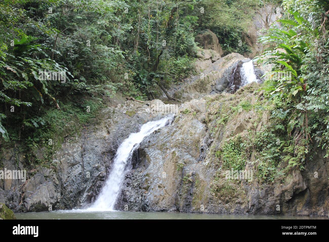 A shot of Argyle waterfalls in the Caribbean, Roxborough, Trinidad