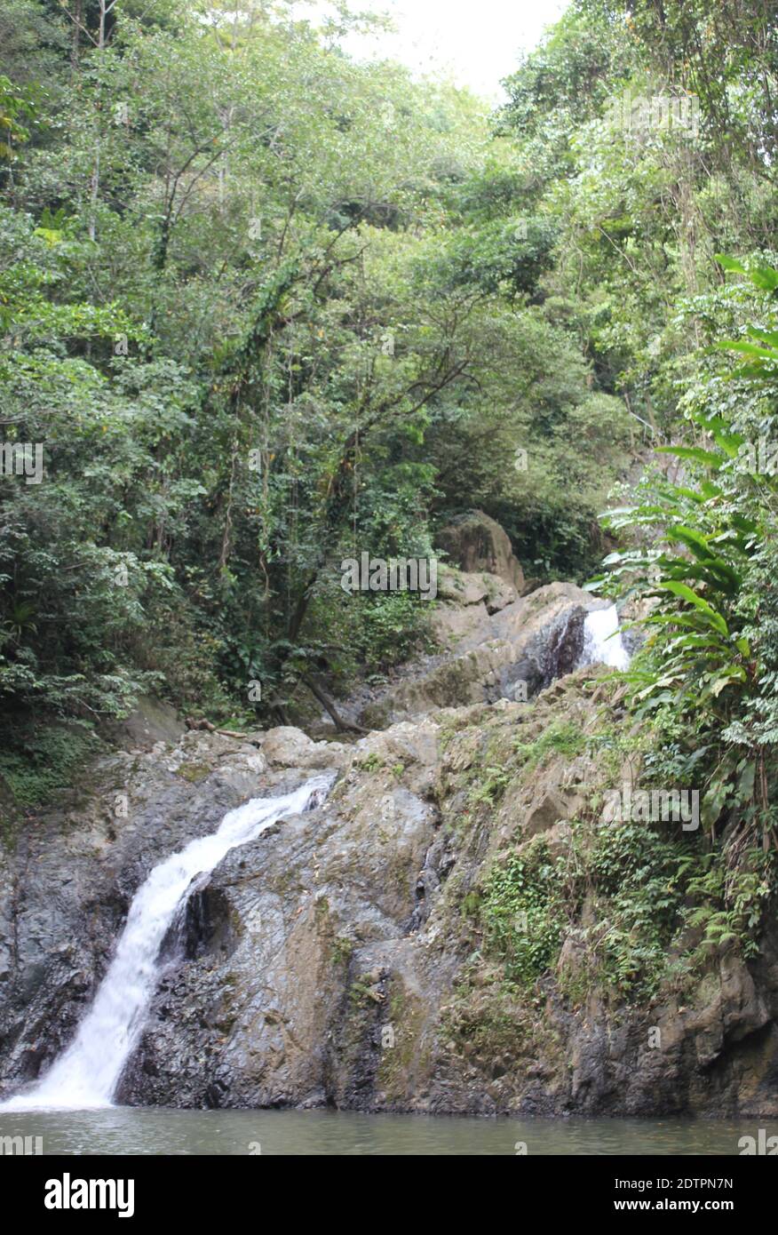 A shot of Argyle waterfalls in the Caribbean, Roxborough, Trinidad