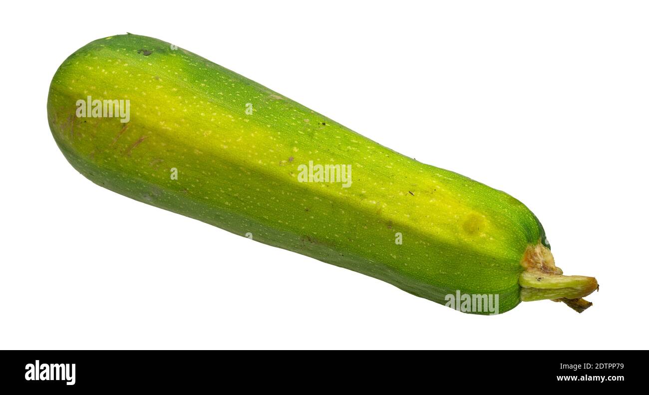 Side view of a home grown green summer squash isolated on a white background. Stock Photo