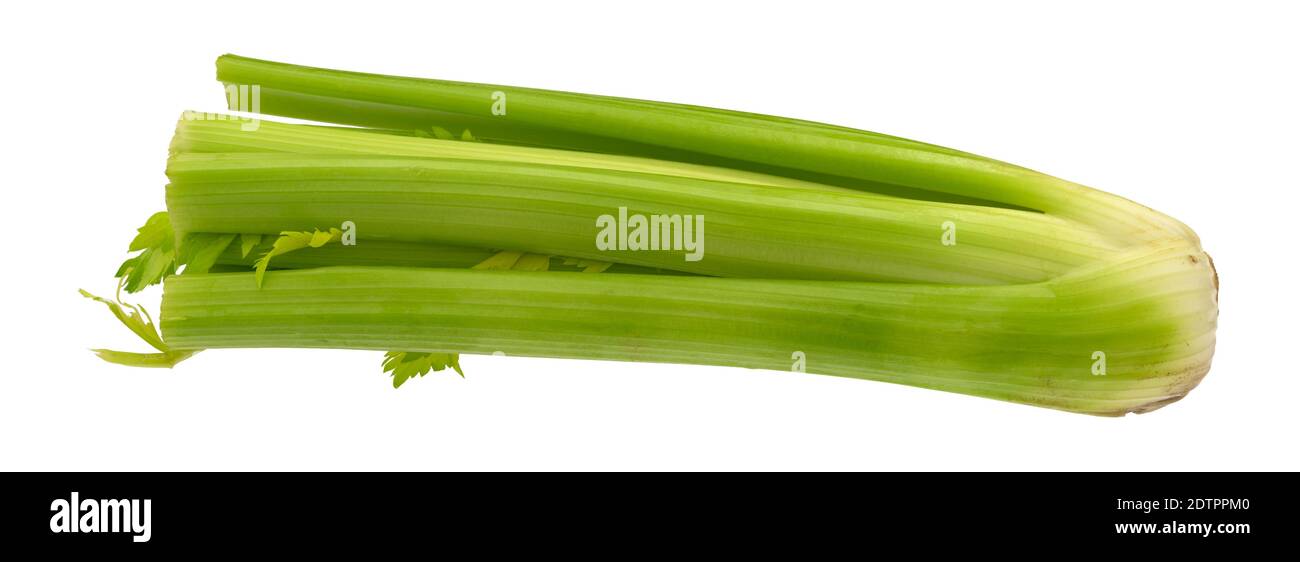 Top view of a fresh bunch of organic celery isolated on a side