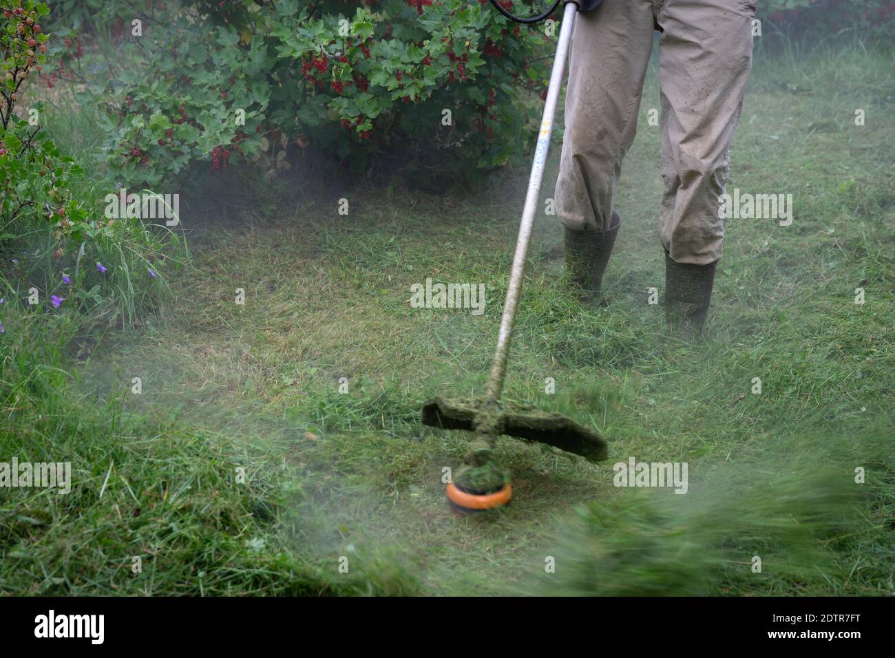 Low Section Of Man Working In Yard Stock Photo