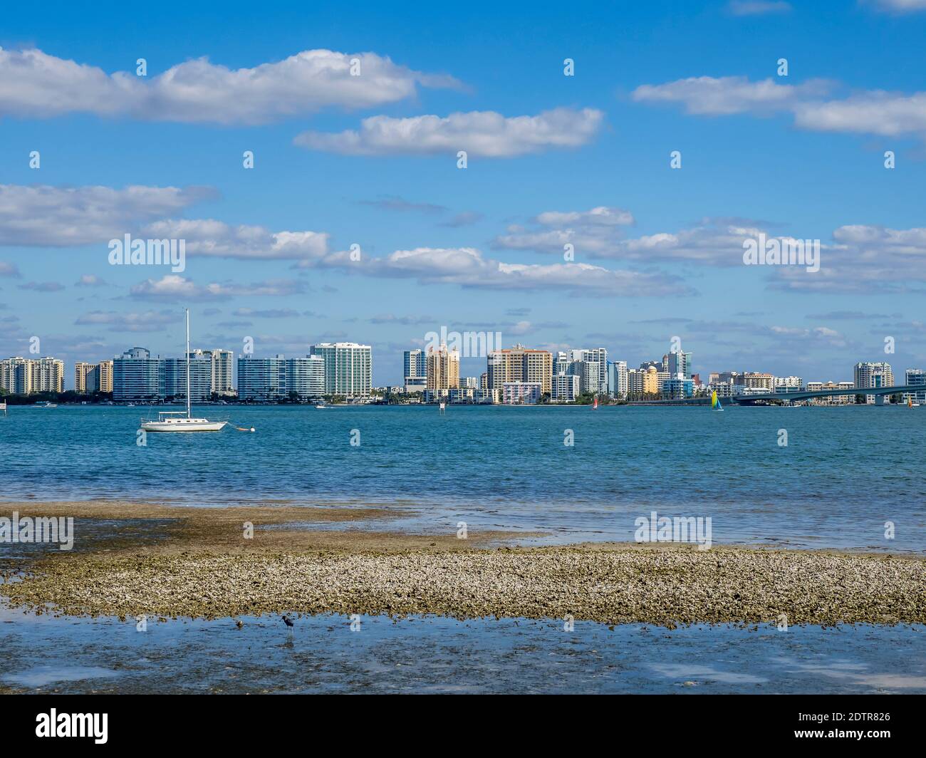 Sarasota Florida skyline across Sarasota Bay from  Ken Thompson Park on Lido key in Sarasota Florida USA Stock Photo
