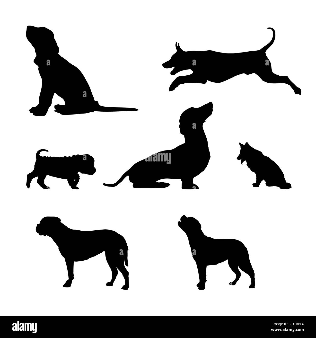 Set of dog breeds silhouettes hi-res stock photography and images - Alamy