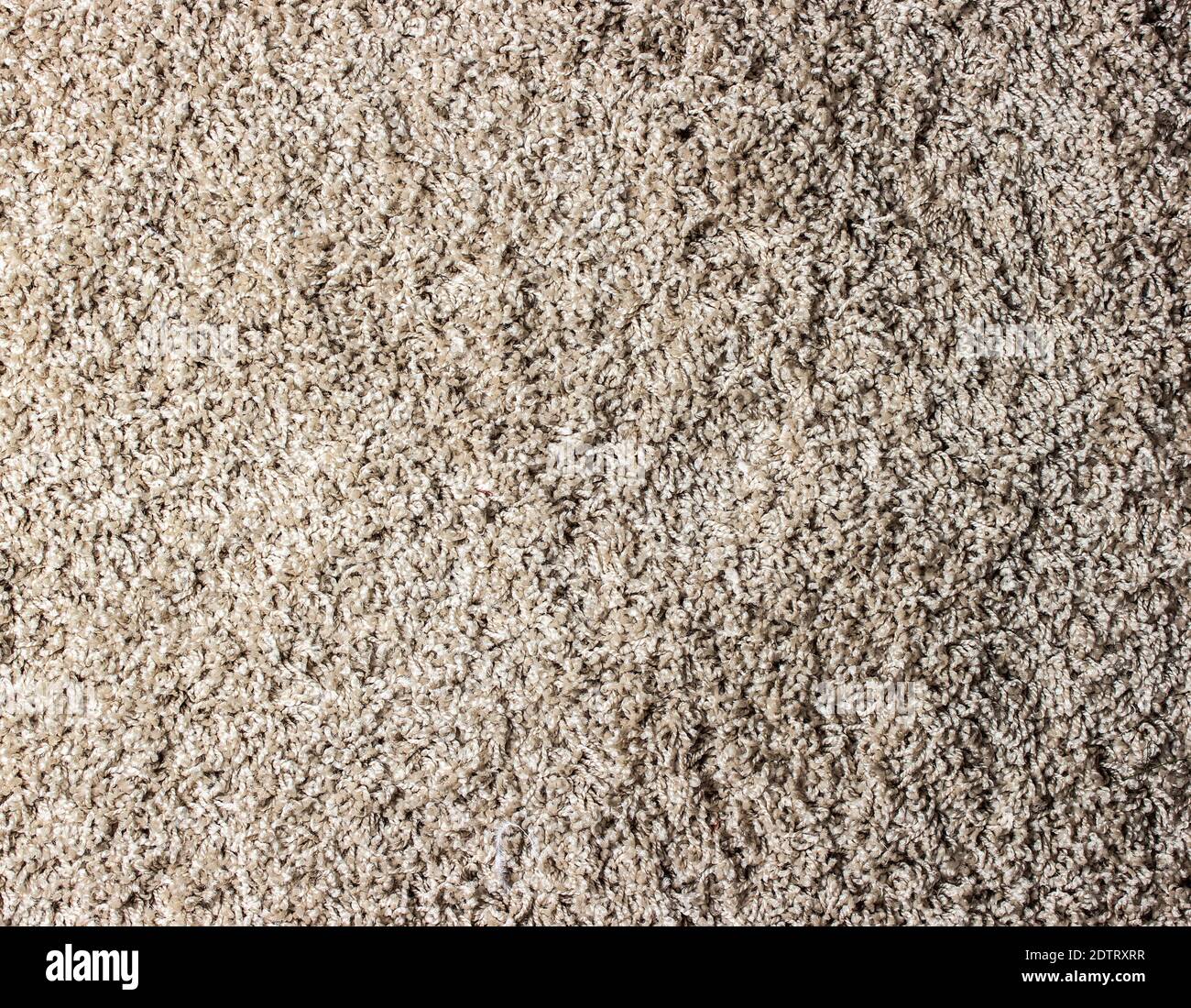 Texture of beige carpet. Surface with nap. Top view Stock Photo Alamy