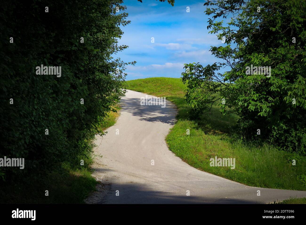 Scenic View Of Road Amidst Trees Against Sky Stock Photo
